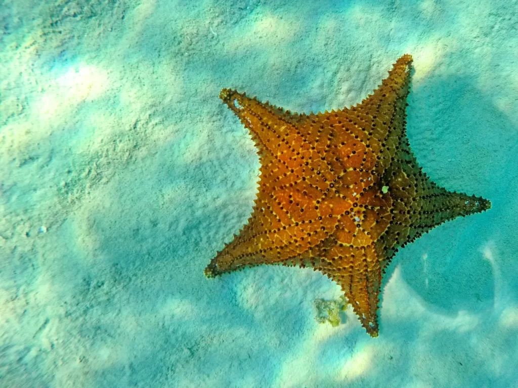 Cielo tour Cozumel