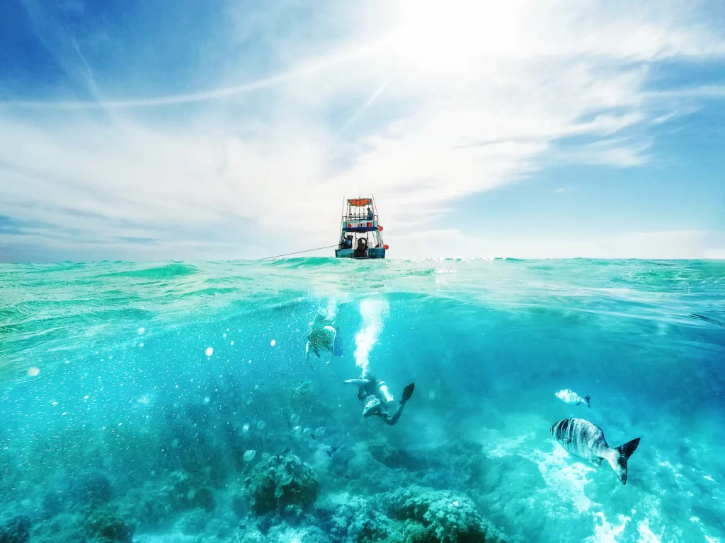 Best boat tour in Cozumel