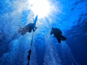 Learn to scuba dive in Cozumel